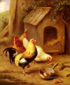 Hühner Füttern Bauernhof Tiere Edgar Hunt